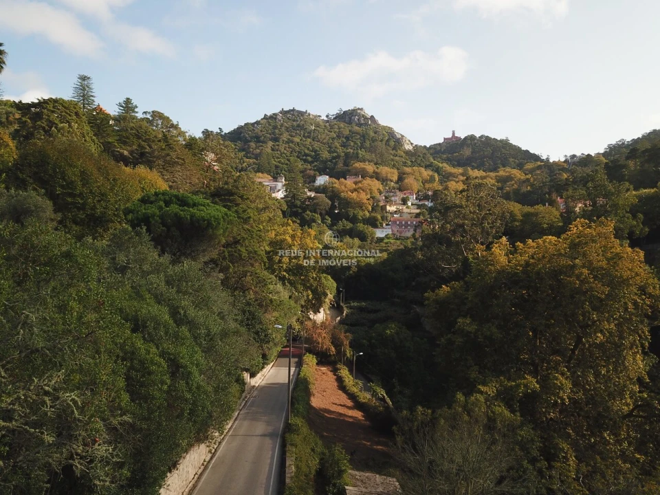 Terreno para Venda em Santa Maria e São Miguel, São Martinho, São Pedro Penaferrim Foto 19