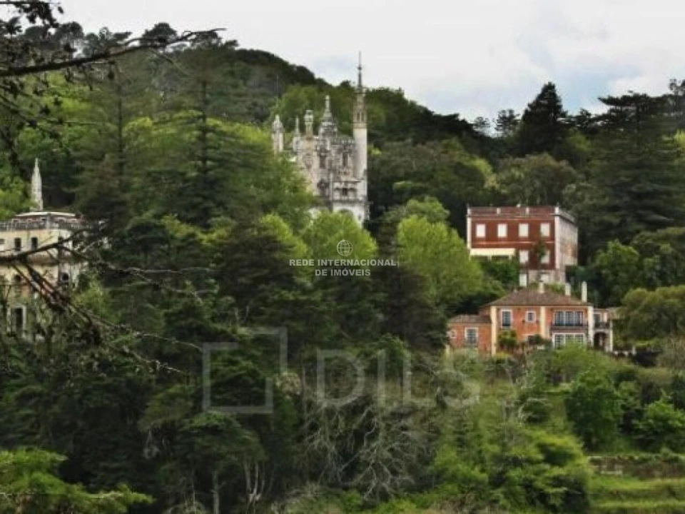 Terreno para Venda em Santa Maria e São Miguel, São Martinho, São Pedro Penaferrim Foto 7