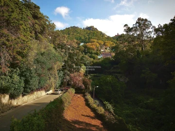 Terreno para Venda em Santa Maria e São Miguel, São Martinho, São Pedro Penaferrim