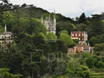 Terreno para Venda em Santa Maria e São Miguel, São Martinho, São Pedro Penaferrim
