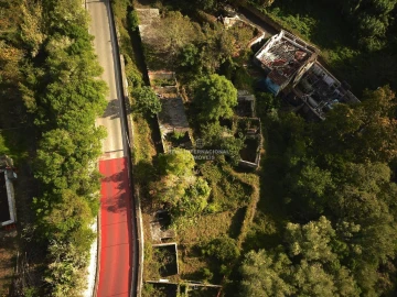 Terreno para Venda em Santa Maria e São Miguel, São Martinho, São Pedro Penaferrim