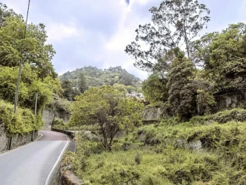 Terreno para Venda em Santa Maria e São Miguel, São Martinho, São Pedro Penaferrim