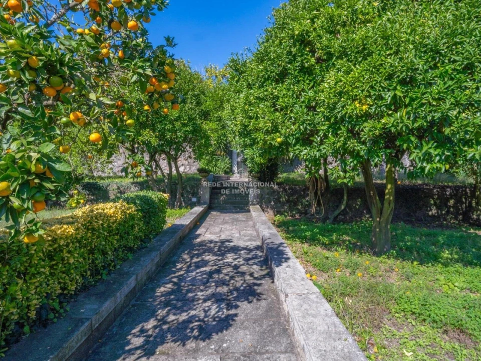 Quinta T8 para Venda em Manhente Foto 13