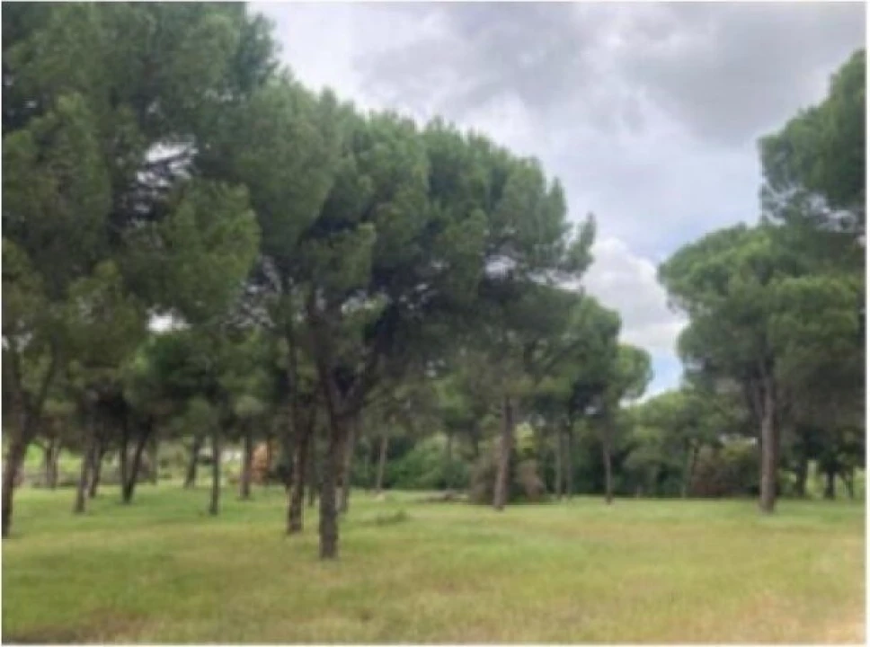 Terreno para Venda em Santo Estêvão Foto 3