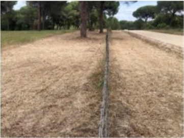 Terreno para Venda em Santo Estêvão