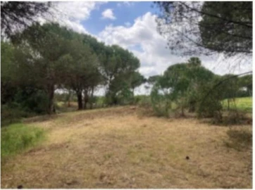 Terreno para Venda em Santo Estêvão