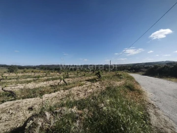 Terreno para Venda em Caria