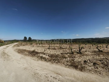 Terreno para Venda em Caria