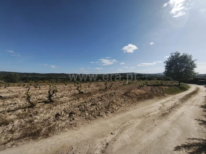 Terreno para Venda em Caria Foto 2