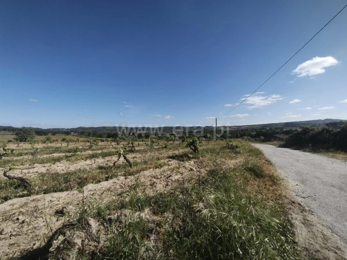 Terreno para Venda em Caria Foto 5