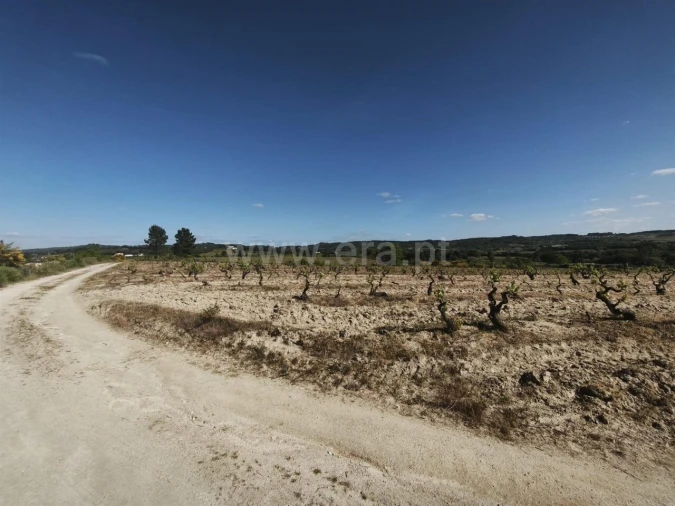 Terreno para Venda em Caria