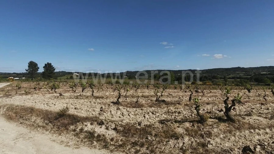Terreno para Venda em Caria