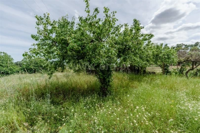 Quinta T0 para Venda em Soalheira