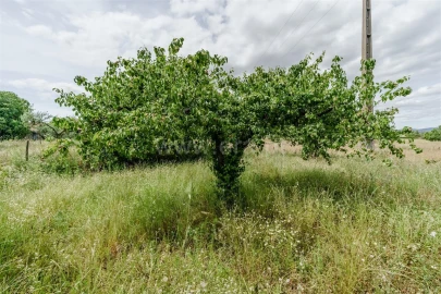 Quinta T0 para Venda em Soalheira