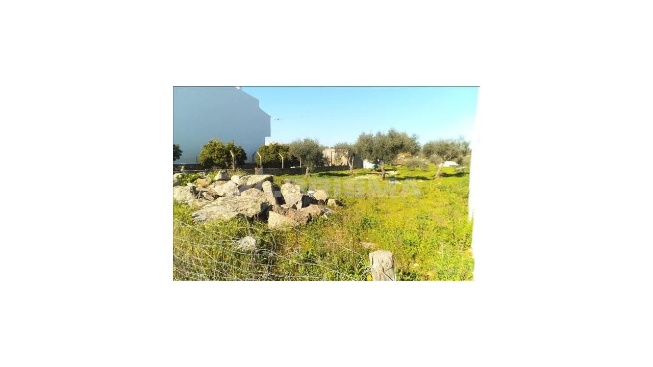 Terreno para Venda em Castelo Branco Foto 1