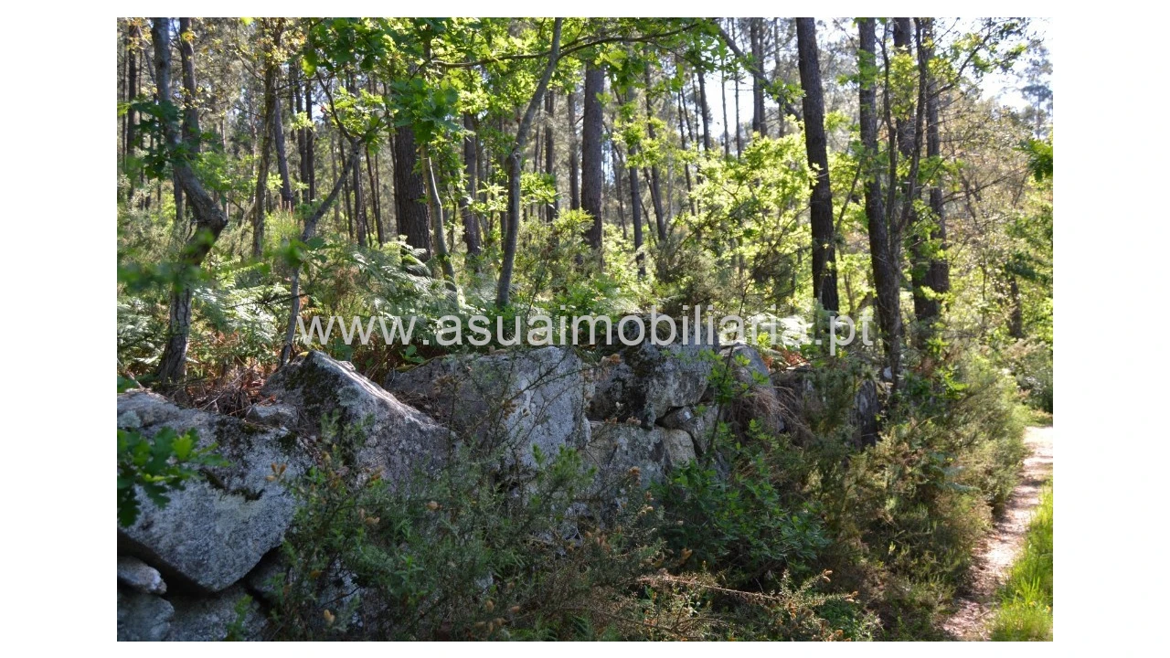 Terreno para Venda em Caires Foto 2