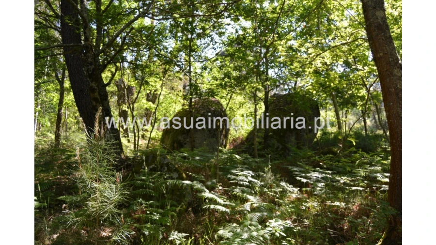 Terreno para Venda em Caires Foto 3