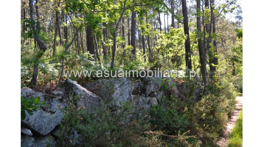Terreno para Venda em Caires Foto 2