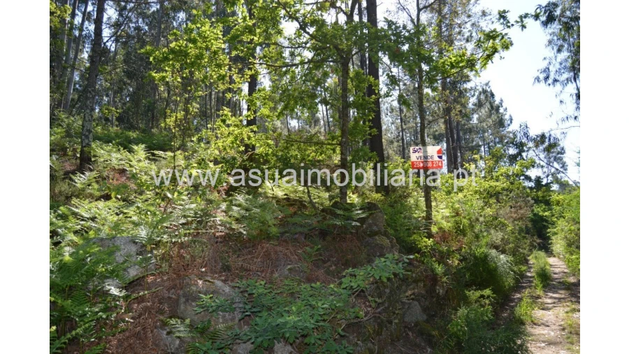 Terreno para Venda em Caires