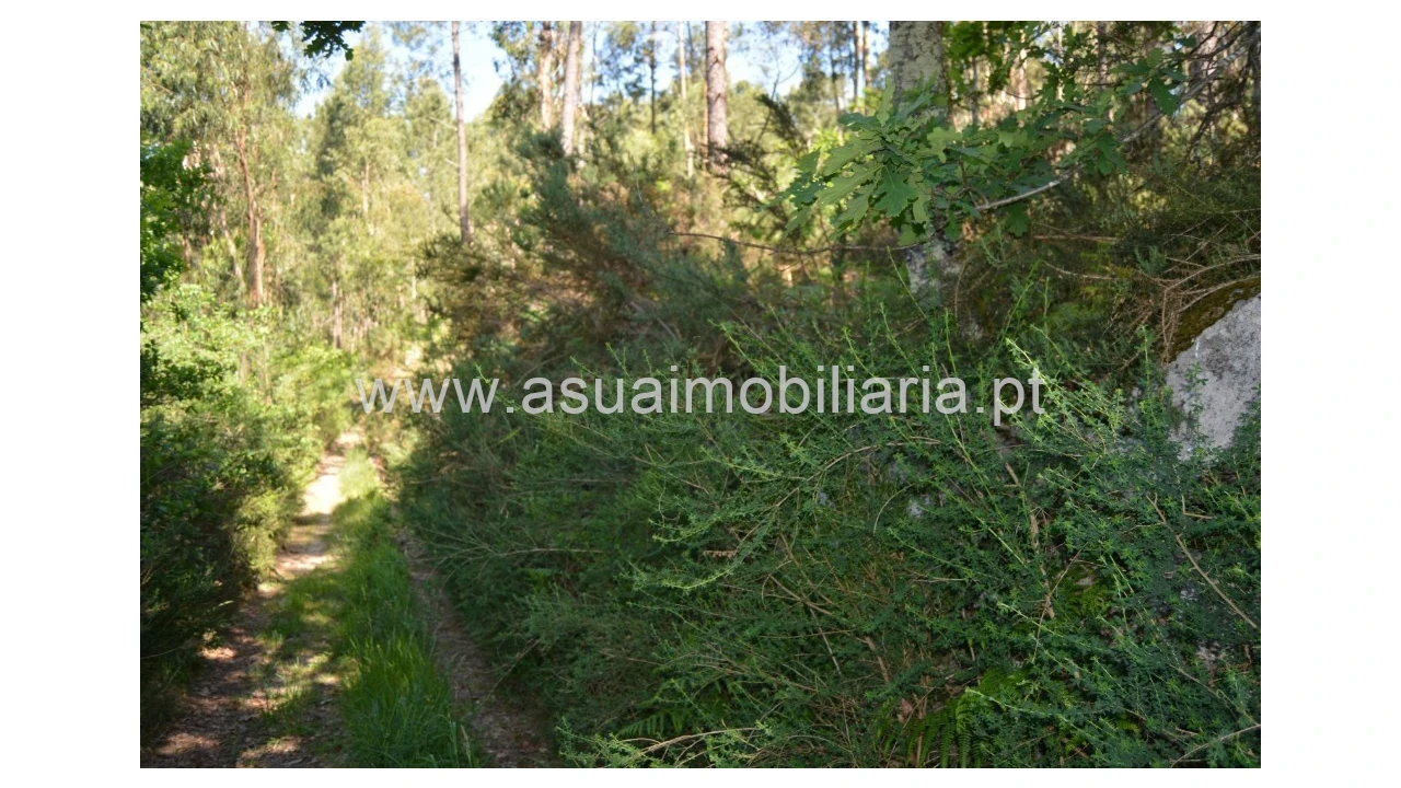Terreno para Venda em Caires Foto 5