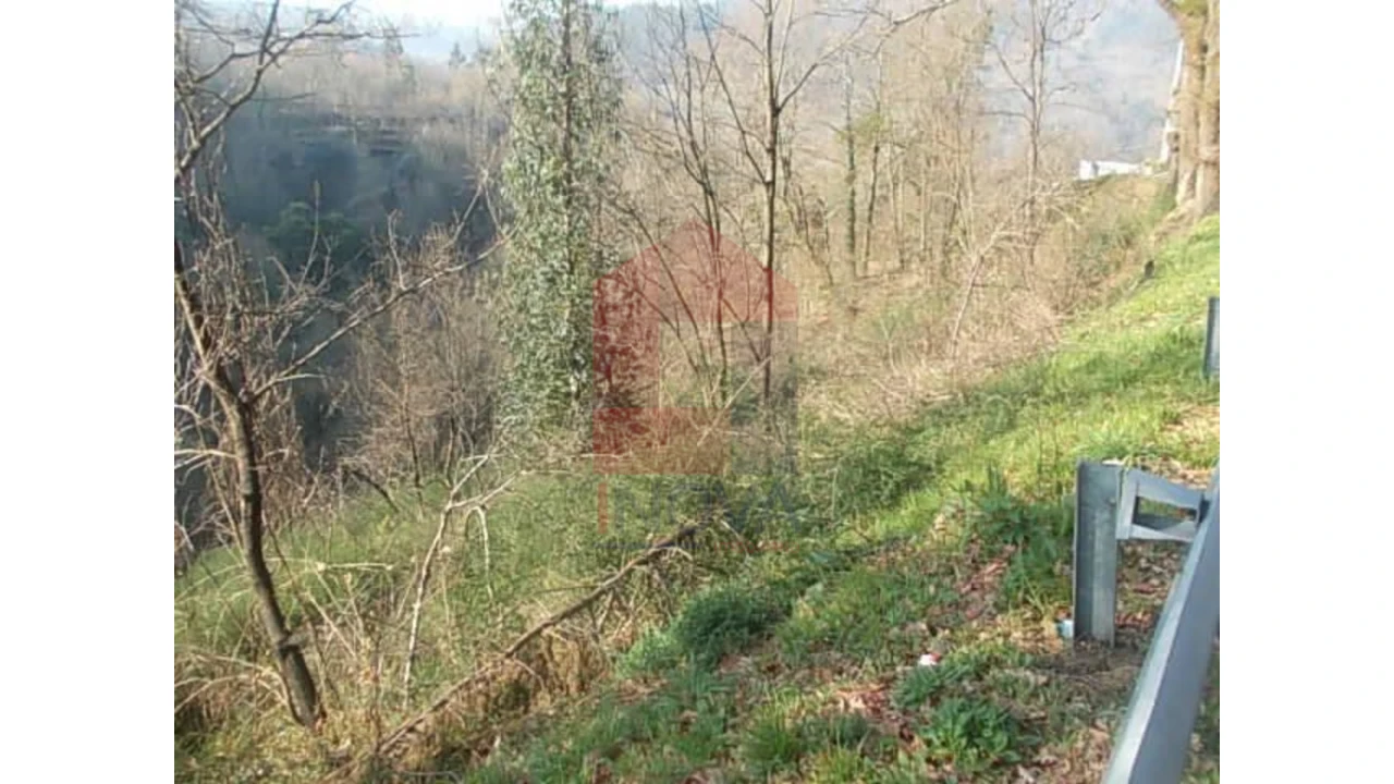 Terreno para Venda em Valbom (São Pedro), Passô e Valbom (São Martinho) Foto 4