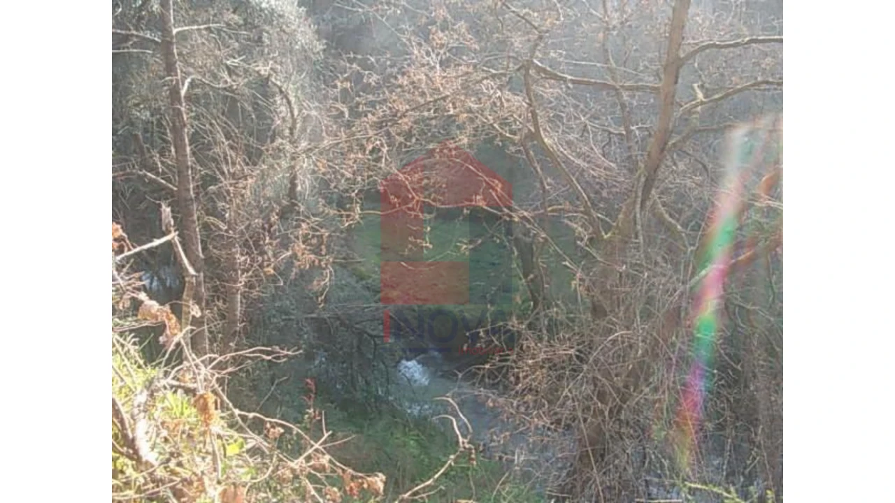 Terreno para Venda em Valbom (São Pedro), Passô e Valbom (São Martinho) Foto 9