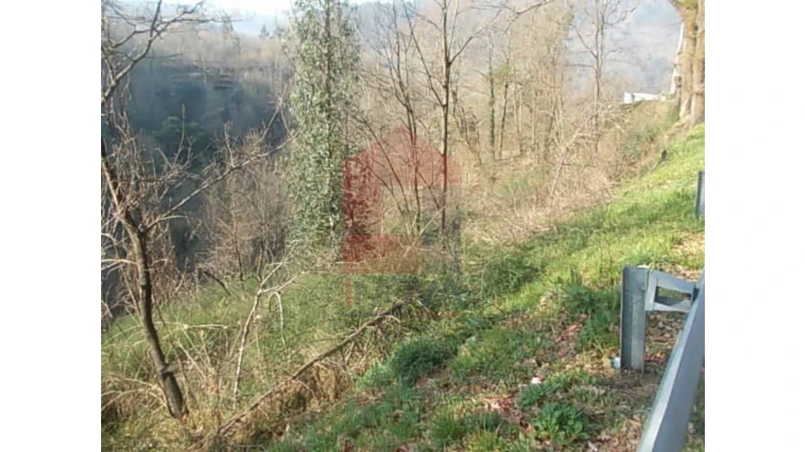 Terreno para Venda em Valbom (São Pedro), Passô e Valbom (São Martinho) Foto 4