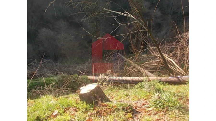 Terreno para Venda em Valbom (São Pedro), Passô e Valbom (São Martinho) Foto 7