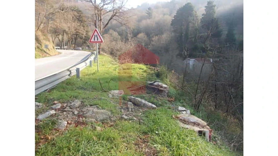Terreno para Venda em Valbom (São Pedro), Passô e Valbom (São Martinho) Foto 3