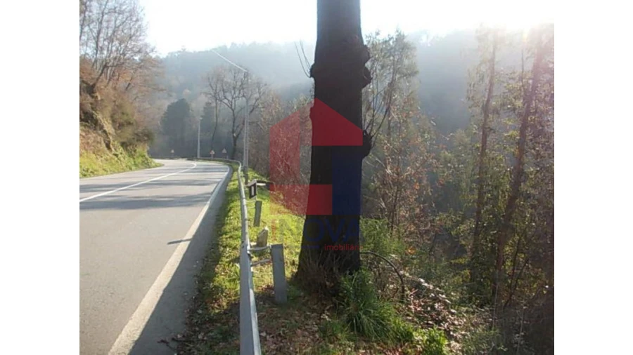 Terreno para Venda em Valbom (São Pedro), Passô e Valbom (São Martinho) Foto 6