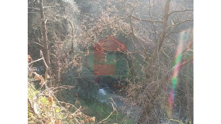 Terreno para Venda em Valbom (São Pedro), Passô e Valbom (São Martinho) Foto 9