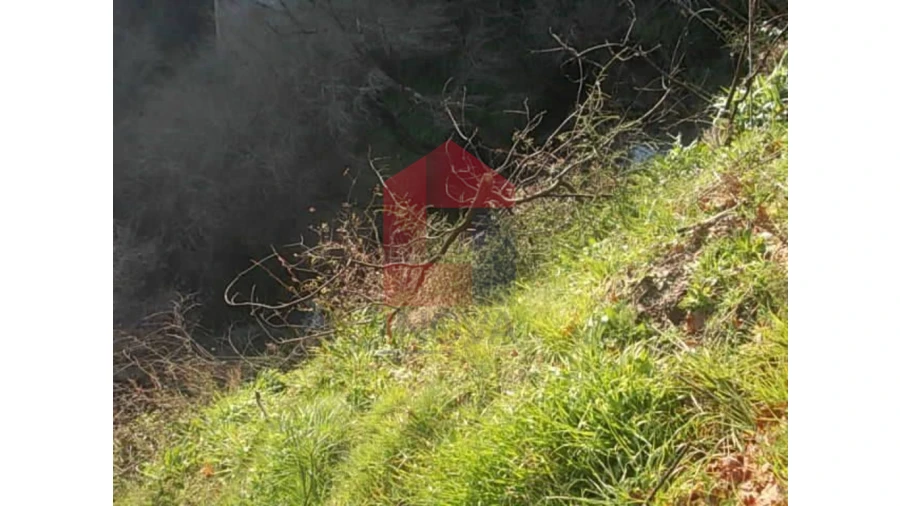 Terreno para Venda em Valbom (São Pedro), Passô e Valbom (São Martinho) Foto 8