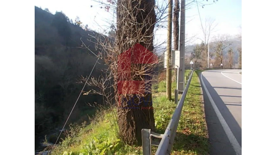 Terreno para Venda em Valbom (São Pedro), Passô e Valbom (São Martinho) Foto 1
