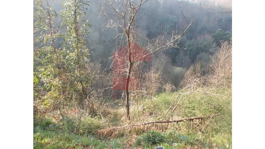 Terreno para Venda em Valbom (São Pedro), Passô e Valbom (São Martinho) Foto 5