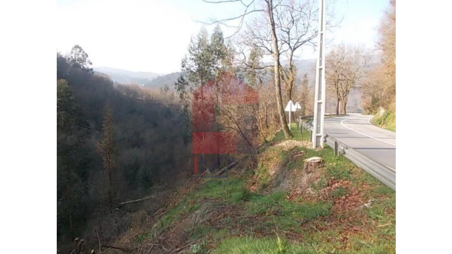 Terreno para Venda em Valbom (São Pedro), Passô e Valbom (São Martinho) Foto 2