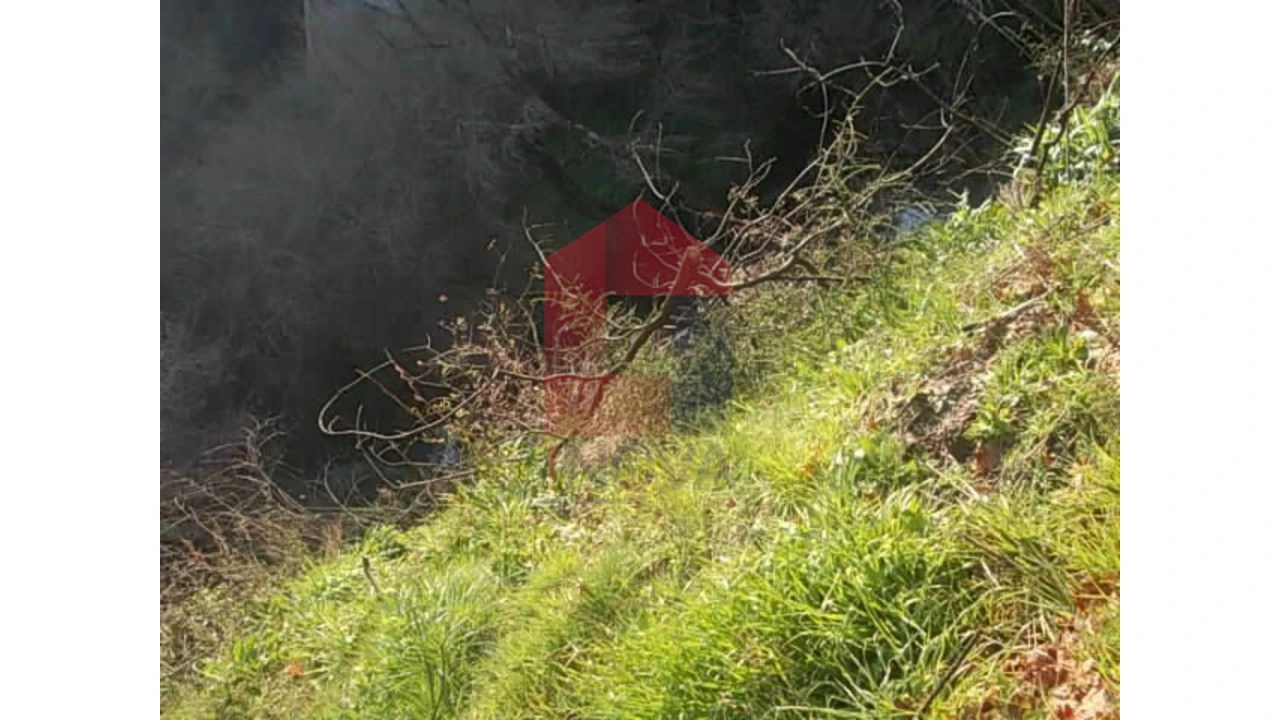 Terreno para Venda em Valbom (São Pedro), Passô e Valbom (São Martinho) Foto 8