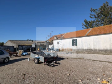 Quinta T4 para Venda em Pegões