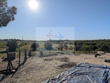 Quinta T4 para Venda em Pegões