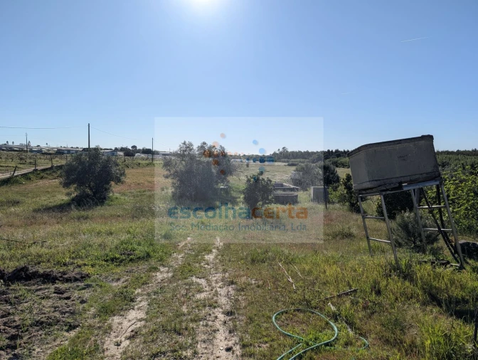 Quinta T4 para Venda em Pegões Foto 10