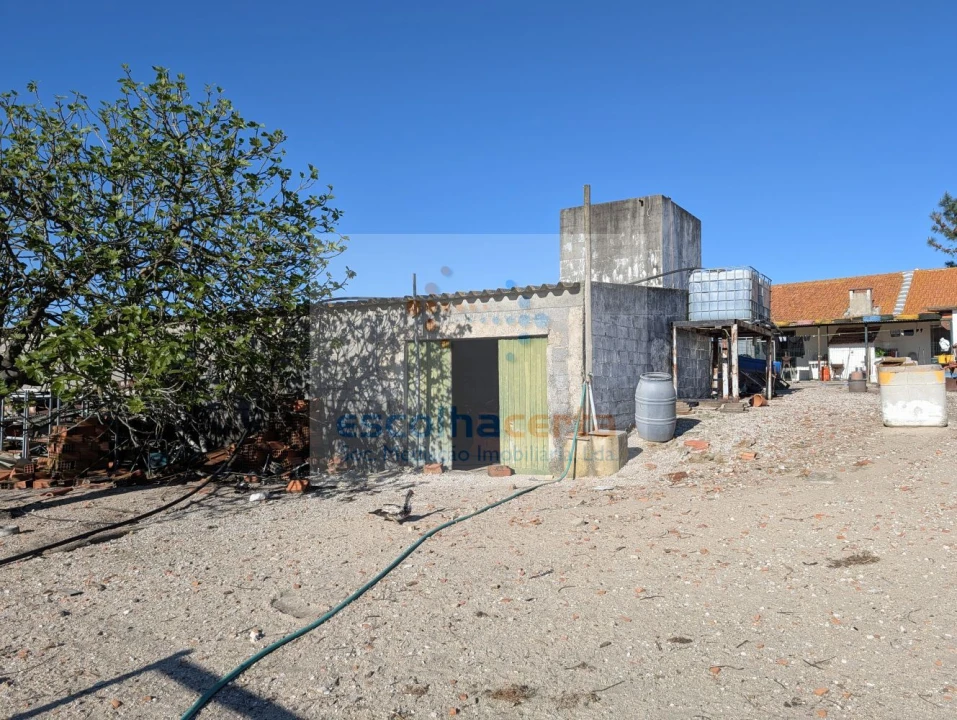 Quinta T4 para Venda em Pegões Foto 6