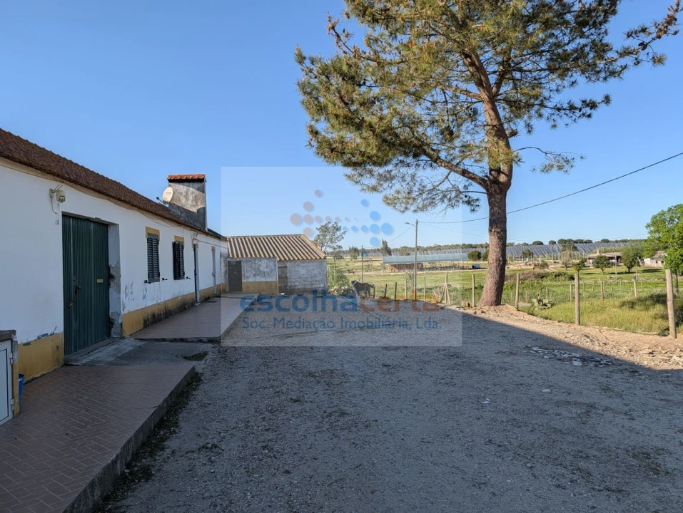 Quinta T4 para Venda em Pegões Foto 3