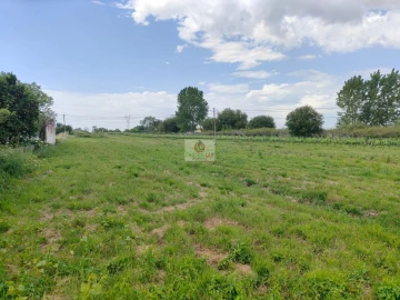 Moradia T3 para Venda em Bustos, Troviscal e Mamarrosa