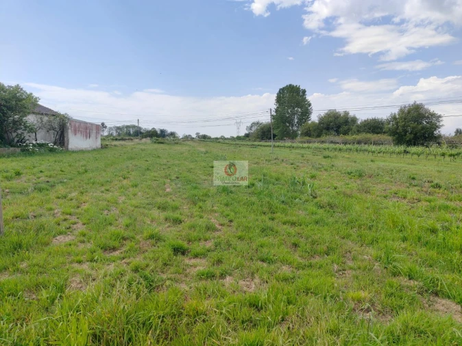 Moradia T3 para Venda em Bustos, Troviscal e Mamarrosa Foto 3
