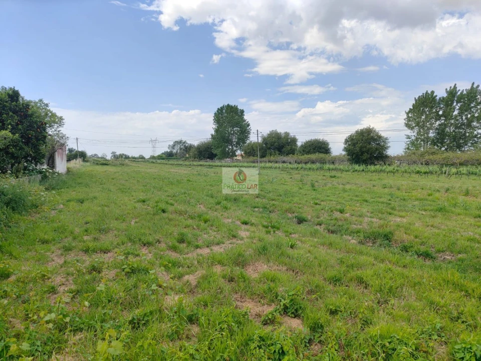 Moradia T3 para Venda em Bustos, Troviscal e Mamarrosa Foto 6