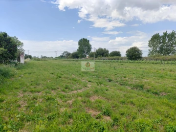 Moradia T2 para Venda em Bustos, Troviscal e Mamarrosa