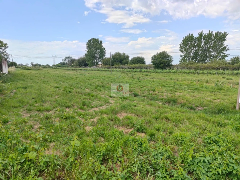 Moradia T2 para Venda em Bustos, Troviscal e Mamarrosa Foto 1