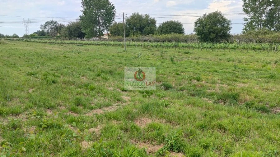 Moradia T2 para Venda em Bustos, Troviscal e Mamarrosa