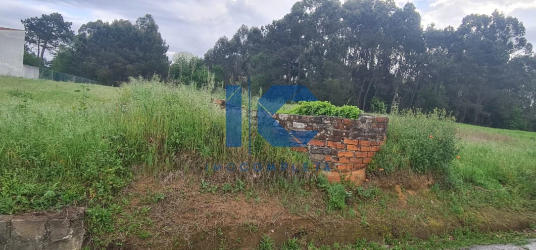 Terreno para Venda em Palhaça Foto 2
