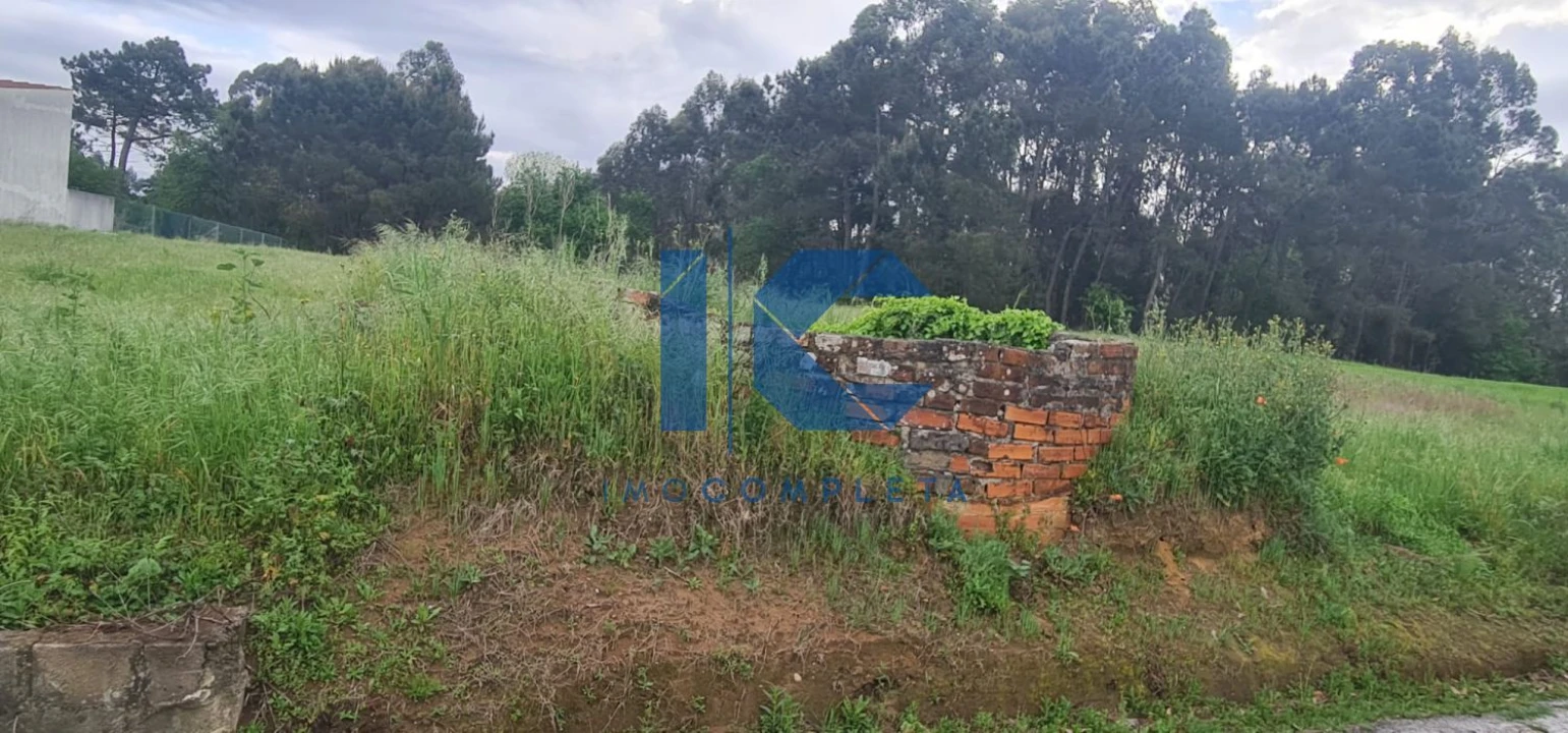 Terreno para Venda em Palhaça Foto 2