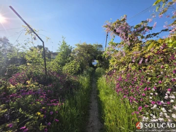 Quinta T6 para Venda em Rio de Loba